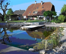 Wirezwil Villa mit Schwimmteich